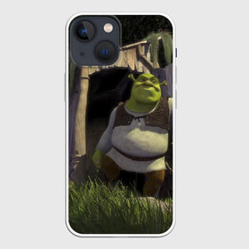 Чехол для iPhone 13 mini с принтом Somebody Once Told Me в Новосибирске,  |  | 20 | 4к | boots | cat | donkey | fiona | green | in | me | meme | memes | once | shrek | somebody | told | в | зеленый | кот | лет | мем | мемы | мульт | мультфильм | огр | огры | осел | сапогах | фиона | шрек