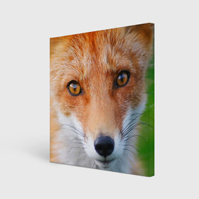 Холст квадратный с принтом Крупно мордочка лисы в Новосибирске, 100% ПВХ |  | fox | foxy | животное | звери | лиса | лисенок | лисичка | милая | рыжая | фокс