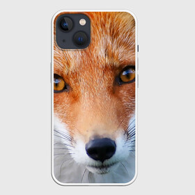 Чехол для iPhone 13 с принтом Крупно мордочка лисы в Новосибирске,  |  | fox | foxy | животное | звери | лиса | лисенок | лисичка | милая | рыжая | фокс