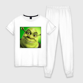 Женская пижама хлопок с принтом Shrek | Зеленый Орк (Z) в Новосибирске, 100% хлопок | брюки и футболка прямого кроя, без карманов, на брюках мягкая резинка на поясе и по низу штанин | dreamworks | shrek | зелёный огр | мульт | мультфильм | приключения