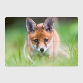 Магнитный плакат 3Х2 с принтом Лисенок в засаде в Новосибирске, Полимерный материал с магнитным слоем | 6 деталей размером 9*9 см | fox | foxy | животное | звери | лиса | лисенок | лисичка | милая | рыжая | фокс