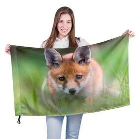 Флаг 3D с принтом Лисенок в засаде в Новосибирске, 100% полиэстер | плотность ткани — 95 г/м2, размер — 67 х 109 см. Принт наносится с одной стороны | fox | foxy | животное | звери | лиса | лисенок | лисичка | милая | рыжая | фокс