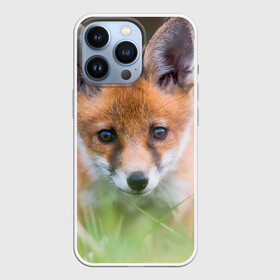 Чехол для iPhone 13 Pro с принтом Лисенок в засаде в Новосибирске,  |  | Тематика изображения на принте: fox | foxy | животное | звери | лиса | лисенок | лисичка | милая | рыжая | фокс