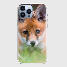 Чехол для iPhone 13 Pro Max с принтом Лисенок в засаде в Новосибирске,  |  | Тематика изображения на принте: fox | foxy | животное | звери | лиса | лисенок | лисичка | милая | рыжая | фокс