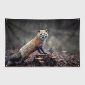 Флаг-баннер с принтом Лисица и птичка в Новосибирске, 100% полиэстер | размер 67 х 109 см, плотность ткани — 95 г/м2; по краям флага есть четыре люверса для крепления | fox | foxy | животное | звери | лиса | лисенок | лисичка | милая | рыжая | фокс