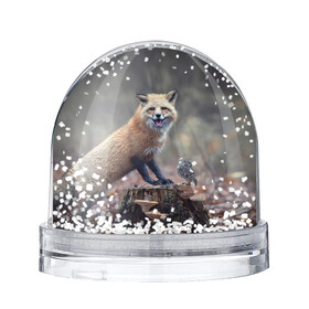 Снежный шар с принтом Лисица и птичка в Новосибирске, Пластик | Изображение внутри шара печатается на глянцевой фотобумаге с двух сторон | Тематика изображения на принте: fox | foxy | животное | звери | лиса | лисенок | лисичка | милая | рыжая | фокс