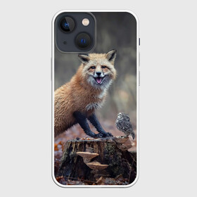 Чехол для iPhone 13 mini с принтом Лисица и птичка в Новосибирске,  |  | fox | foxy | животное | звери | лиса | лисенок | лисичка | милая | рыжая | фокс