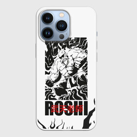 Чехол для iPhone 13 Pro с принтом Roshi в Новосибирске,  |  | anime | dragon ball | аниме | анимэ | бульма | драгон бал | дрэгон бол | жемчуг дракона | мутаэн роши | сон гоку | сунь укун | улонг | ямча