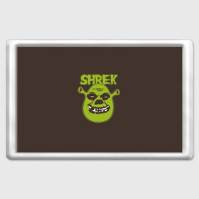 Магнит 45*70 с принтом Shrek. True Ogre в Новосибирске, Пластик | Размер: 78*52 мм; Размер печати: 70*45 | Тематика изображения на принте: charming | donkey | fiona | forever | gonna | is | me | once | pinocchio | roll | shrek | somebody | the | told | world | артур | в | гарольд | дракон | кот | лорд | мерлин | навсегда | огр | осел | пиноккио | пряник | сапогах | фаркуад | фиона