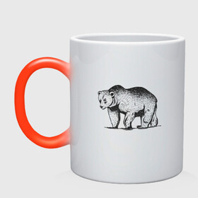 Кружка хамелеон с принтом Медведь Гризли | Grizzly Bear в Новосибирске, керамика | меняет цвет при нагревании, емкость 330 мл | Тематика изображения на принте: alaska | american bear | art | bears | canada | illustration | united states | ursus | usa | аляска | американский медведь | арт | бурый медведь | бурый мишка | иллюстрация | канада | косолапый | медвежонок | мишка | потапыч | рисунок