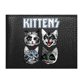Обложка для студенческого билета с принтом Kittens в Новосибирске, натуральная кожа | Размер: 11*8 см; Печать на всей внешней стороне | Тематика изображения на принте: animal | cat | cute | kiss | kitty | meow | rock | гитара | друг | животные | киска | кисс | китти | кот | котенок | котик | котэ | кошечка | кошка | метал | милый | музыка | мур | мяу | питомец | рок | тигр