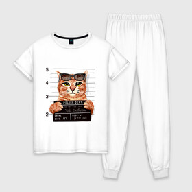 Женская пижама хлопок с принтом РУТОЙ КОТ В ОЧКАХ ЗАКЛЮЧЕННЫЙ в Новосибирске, 100% хлопок | брюки и футболка прямого кроя, без карманов, на брюках мягкая резинка на поясе и по низу штанин | cat | cats | cool | cute | funny | kitten | kitty | meow | pet | prisoner | в очках | заключенный | кот | котик | коты | кошка | кошки | милый