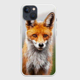 Чехол для iPhone 13 с принтом рыжая лисица в Новосибирске,  |  | fox | foxy | животное | звери | лиса | лисенок | лисичка | милая | рыжая | фокс