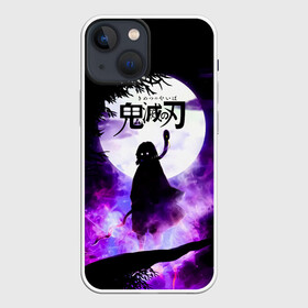 Чехол для iPhone 13 mini с принтом Demon Slayer: Kimetsu no Yaiba в Новосибирске,  |  | demon slayer | kamado | kimetsu no yaiba | nezuko | tanjiro | аниме | гию томиока | зеницу агацума | иноске хашибира | камадо | клинок | корзинная девочка | манга | музан кибуцуджи | незуко | рассекающий демонов | танджиро