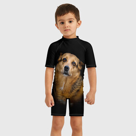 Детский купальный костюм 3D с принтом ГРУСТНЫЕ ГЛАЗКИ в Новосибирске, Полиэстер 85%, Спандекс 15% | застежка на молнии на спине | Тематика изображения на принте: animal | black | dog | photo | глаза | грусть | домашние | животные | звери | пес | пушистый | собакен | собаки | черный