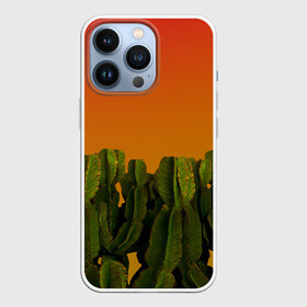 Чехол для iPhone 13 Pro с принтом Кактусы на закате в Новосибирске,  |  | восход | закат | кактусы | пейзаж | пустыня | растения