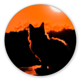 Коврик для мышки круглый с принтом Котенок на фоне заката в Новосибирске, резина и полиэстер | круглая форма, изображение наносится на всю лицевую часть | закат | кот | котенок | кошка | солнце