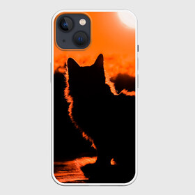 Чехол для iPhone 13 с принтом Котенок на фоне заката в Новосибирске,  |  | закат | кот | котенок | кошка | солнце
