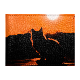 Обложка для студенческого билета с принтом Котенок на фоне заката в Новосибирске, натуральная кожа | Размер: 11*8 см; Печать на всей внешней стороне | Тематика изображения на принте: закат | кот | котенок | кошка | солнце