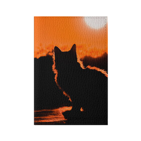 Обложка для паспорта матовая кожа с принтом Котенок на фоне заката в Новосибирске, натуральная матовая кожа | размер 19,3 х 13,7 см; прозрачные пластиковые крепления | закат | кот | котенок | кошка | солнце