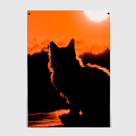 Постер с принтом Котенок на фоне заката в Новосибирске, 100% бумага
 | бумага, плотность 150 мг. Матовая, но за счет высокого коэффициента гладкости имеет небольшой блеск и дает на свету блики, но в отличии от глянцевой бумаги не покрыта лаком | закат | кот | котенок | кошка | солнце
