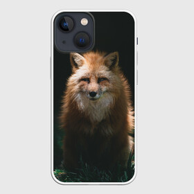 Чехол для iPhone 13 mini с принтом Хитрый Лис в Новосибирске,  |  | animals | beast | forest | fox | nature | orange | predator | red | животные | зверь | лес | лис | лиса | лисица | лисичка | природа | рыжая | рыжий | фыр | хитрый | хищник