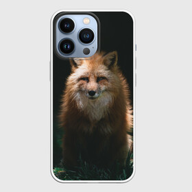 Чехол для iPhone 13 Pro с принтом Хитрый Лис в Новосибирске,  |  | animals | beast | forest | fox | nature | orange | predator | red | животные | зверь | лес | лис | лиса | лисица | лисичка | природа | рыжая | рыжий | фыр | хитрый | хищник