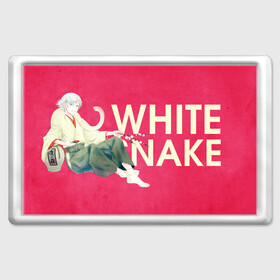 Магнит 45*70 с принтом White snake в Новосибирске, Пластик | Размер: 78*52 мм; Размер печати: 70*45 | akura | kamisama kiss | kitsune | mizuki | nanami | tomoe | yokai | акура | аниме | бог | боги | демон лис | демоны | ёкай | змея | йокай | кицуне | лис | мидзуки | мизуки | нанами | неко | очень приятно бог | томое | томоэ