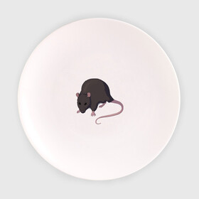 Тарелка с принтом Чёрная крыса в Новосибирске, фарфор | диаметр - 210 мм
диаметр для нанесения принта - 120 мм | rat | грызуны | животные | крысы | притомцы