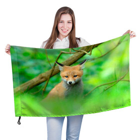 Флаг 3D с принтом Лисенок в зеленом лесу в Новосибирске, 100% полиэстер | плотность ткани — 95 г/м2, размер — 67 х 109 см. Принт наносится с одной стороны | fox | foxy | животное | звери | лиса | лисенок | лисичка | милая | рыжая | фокс