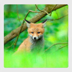 Магнитный плакат 3Х3 с принтом Лисенок в зеленом лесу в Новосибирске, Полимерный материал с магнитным слоем | 9 деталей размером 9*9 см | fox | foxy | животное | звери | лиса | лисенок | лисичка | милая | рыжая | фокс