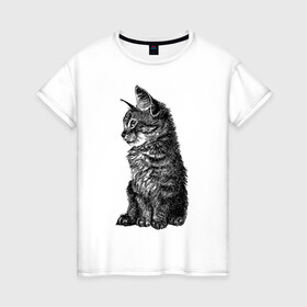 Женская футболка хлопок с принтом Котенок в Новосибирске, 100% хлопок | прямой крой, круглый вырез горловины, длина до линии бедер, слегка спущенное плечо | cat | kitty | кот | котенок | кошка | питомец
