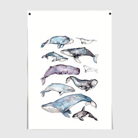 Постер с принтом киты в Новосибирске, 100% бумага
 | бумага, плотность 150 мг. Матовая, но за счет высокого коэффициента гладкости имеет небольшой блеск и дает на свету блики, но в отличии от глянцевой бумаги не покрыта лаком | ocean | sea | киты | море | морской принт | морской фон | океан | паттерн | рыбы | текстуры