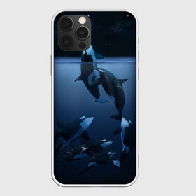 Чехол для iPhone 12 Pro Max с принтом касатки в Новосибирске, Силикон |  | ocean | orca | sea | sea animal | дельфин | касатка | кит | море | океан | рисунок кита