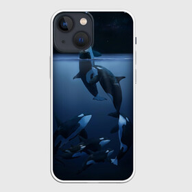 Чехол для iPhone 13 mini с принтом касатки в Новосибирске,  |  | ocean | orca | sea | sea animal | дельфин | касатка | кит | море | океан | рисунок кита