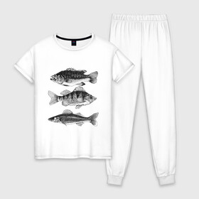 Женская пижама хлопок с принтом караси в Новосибирске, 100% хлопок | брюки и футболка прямого кроя, без карманов, на брюках мягкая резинка на поясе и по низу штанин | ocean | sea | sea animal | графика | карась | море | океан | река | рисунок рыбы | рыба | рыбалка
