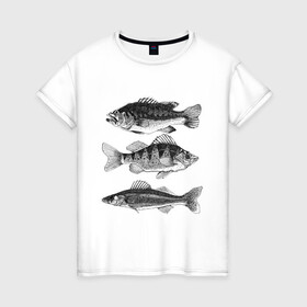 Женская футболка хлопок с принтом караси в Новосибирске, 100% хлопок | прямой крой, круглый вырез горловины, длина до линии бедер, слегка спущенное плечо | ocean | sea | sea animal | графика | карась | море | океан | река | рисунок рыбы | рыба | рыбалка