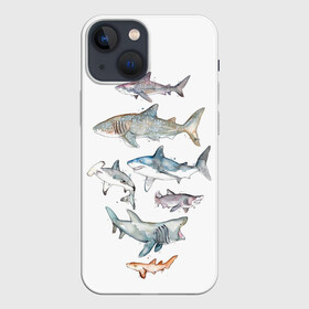 Чехол для iPhone 13 mini с принтом акулы в Новосибирске,  |  | ocean | sea | sea animal | акварель | акула | море | океан | рисунок