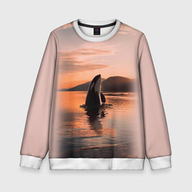 Детский свитшот 3D с принтом касатки на закате в Новосибирске, 100% полиэстер | свободная посадка, прямой крой, мягкая тканевая резинка на рукавах и понизу свитшота | Тематика изображения на принте: ocean | orca | sea | sea animal | дельфин | закат | касатка | кит | море | океан | рисунок кита