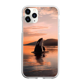 Чехол для iPhone 11 Pro матовый с принтом касатки на закате в Новосибирске, Силикон |  | Тематика изображения на принте: ocean | orca | sea | sea animal | дельфин | закат | касатка | кит | море | океан | рисунок кита