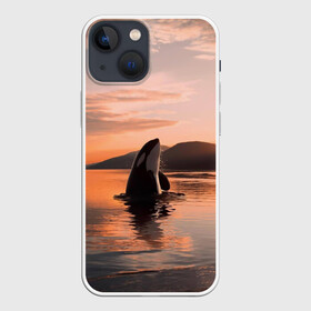 Чехол для iPhone 13 mini с принтом касатки на закате в Новосибирске,  |  | ocean | orca | sea | sea animal | дельфин | закат | касатка | кит | море | океан | рисунок кита