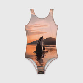 Детский купальник 3D с принтом касатки на закате в Новосибирске, Полиэстер 85%, Спандекс 15% | Слитный крой, подклад по переду изделия, узкие бретели | Тематика изображения на принте: ocean | orca | sea | sea animal | дельфин | закат | касатка | кит | море | океан | рисунок кита