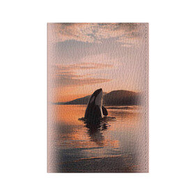 Обложка для паспорта матовая кожа с принтом касатки на закате в Новосибирске, натуральная матовая кожа | размер 19,3 х 13,7 см; прозрачные пластиковые крепления | ocean | orca | sea | sea animal | дельфин | закат | касатка | кит | море | океан | рисунок кита