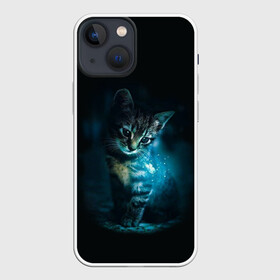 Чехол для iPhone 13 mini с принтом красивый кот в Новосибирске,  |  | бабочки и кошки в красивом свете | кот в свете | одинокий кот | только бабочки