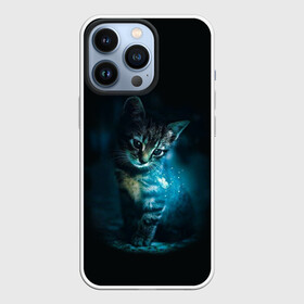 Чехол для iPhone 13 Pro с принтом красивый кот в Новосибирске,  |  | бабочки и кошки в красивом свете | кот в свете | одинокий кот | только бабочки