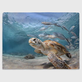 Плед 3D с принтом Морская черепаха в Новосибирске, 100% полиэстер | закругленные углы, все края обработаны. Ткань не мнется и не растягивается | море | морская | океан | подводный мир | рыбы | черепаха