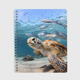 Тетрадь с принтом Морская черепаха в Новосибирске, 100% бумага | 48 листов, плотность листов — 60 г/м2, плотность картонной обложки — 250 г/м2. Листы скреплены сбоку удобной пружинной спиралью. Уголки страниц и обложки скругленные. Цвет линий — светло-серый
 | море | морская | океан | подводный мир | рыбы | черепаха