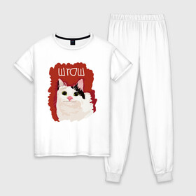 Женская пижама хлопок с принтом котик ШТОШ в Новосибирске, 100% хлопок | брюки и футболка прямого кроя, без карманов, на брюках мягкая резинка на поясе и по низу штанин | кот | меме | прикол | штош | юмор