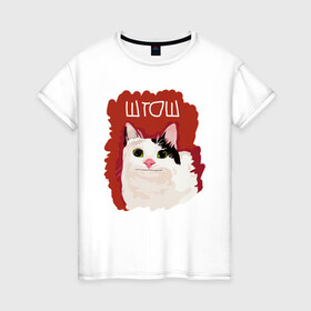 Женская футболка хлопок с принтом котик ШТОШ в Новосибирске, 100% хлопок | прямой крой, круглый вырез горловины, длина до линии бедер, слегка спущенное плечо | кот | меме | прикол | штош | юмор