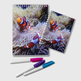 Блокнот с принтом Клоуны в актинии в Новосибирске, 100% бумага | 48 листов, плотность листов — 60 г/м2, плотность картонной обложки — 250 г/м2. Листы скреплены удобной пружинной спиралью. Цвет линий — светло-серый
 | Тематика изображения на принте: актиния | клоуны | коралловые | море | подводный мир | рыбки